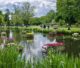 Amsterdam Vondelpark fiori